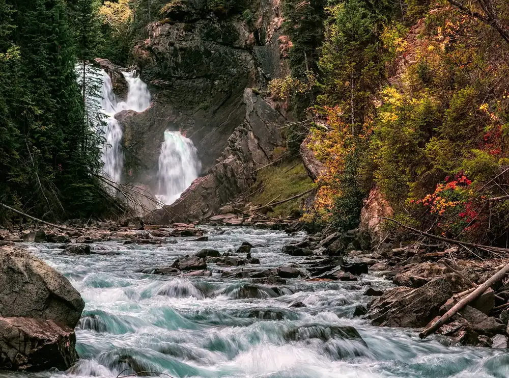 Bear Creek Falls in Glacier National Park in Canada: waterfall split in two over a rock step, a wild creek with driftwood in autumn forest in front
