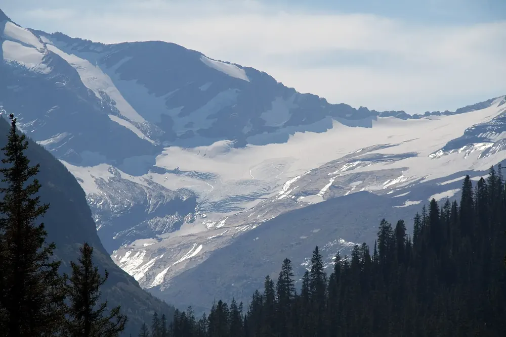 View from Jackson Glacier Overlook in Glacier National Park, Montana, of Jackson Glacier in a mountain cirque, with dark conifer forest in front