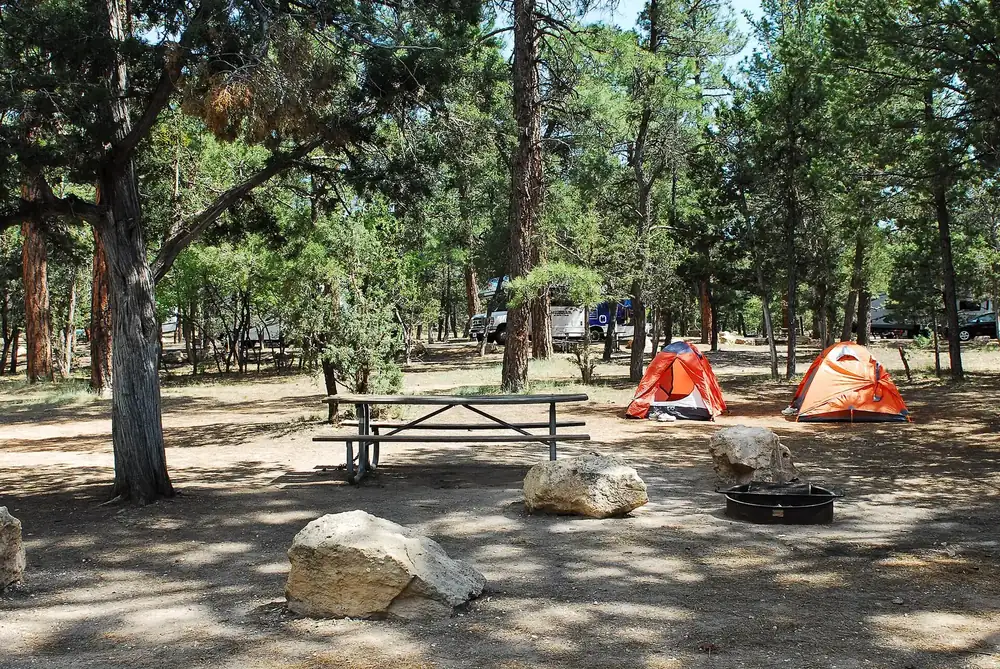 Campsite at Mather Campground in Grand Canyon National Park: picnic table, fire ring and two tents among tall pines