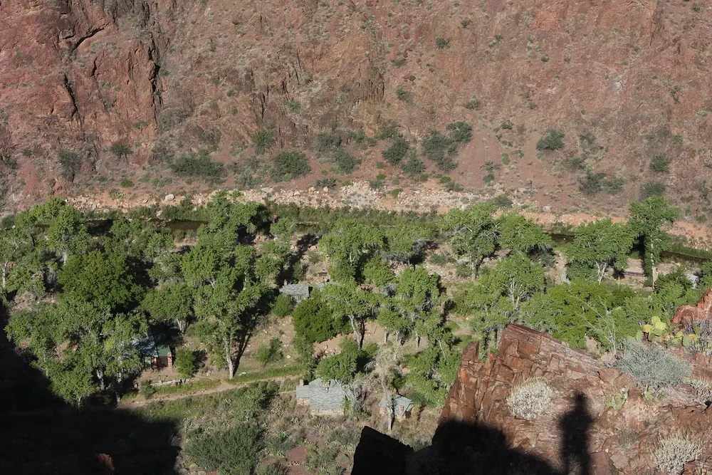 Looking down on the green oasis of Phantom Ranch in Grand Canyon National Park, with cottonwoods on the canyon floor between red rock walls