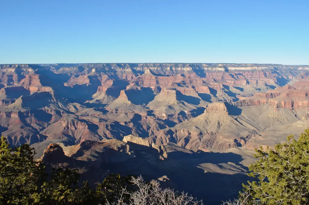 View from Yaki Point in Grand Canyon National Park over mesas, rock steps and branching canyons, pines in front