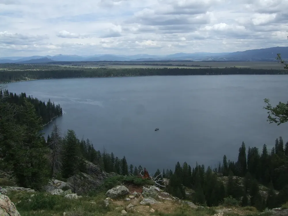 View from above in Grand Teton National Park across the wide Jenny Lake, with conifer forest on the shore and the flat plain of Jackson Hole behind