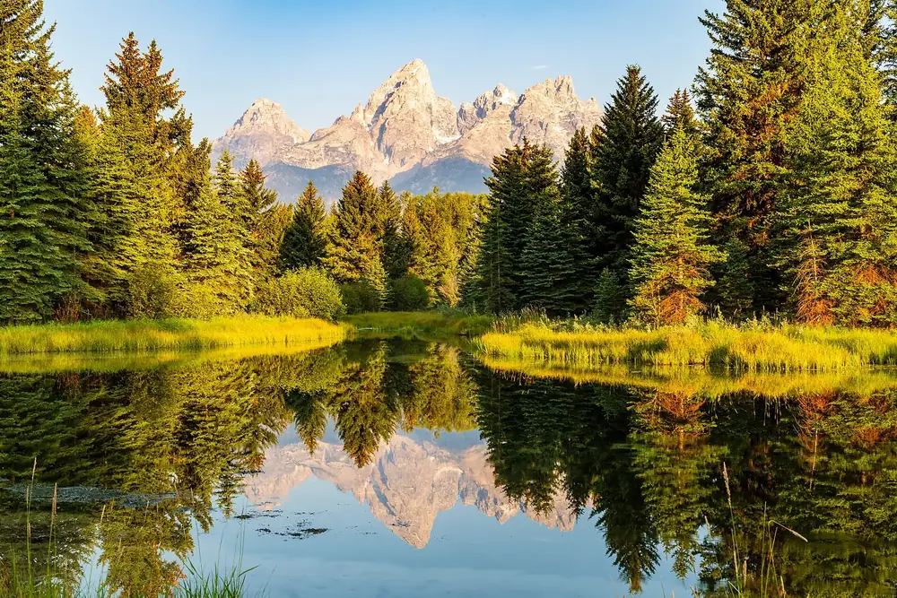 Schwabacher Landing in Grand Teton National Park at sunrise: the Teton peaks and conifers reflected in a still side channel