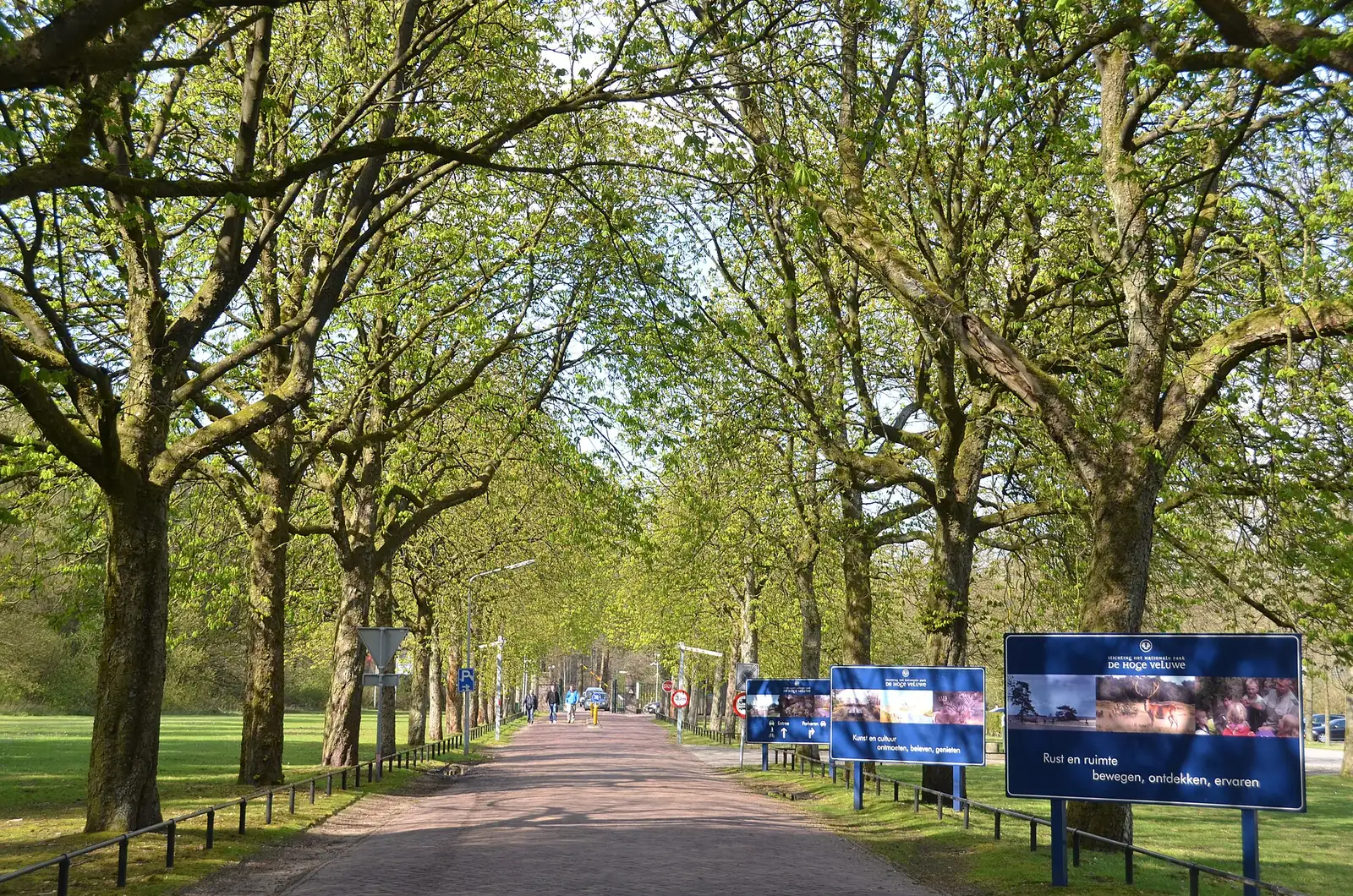 The approach to the Schaarsbergen entrance of De Hoge Veluwe National Park between trees