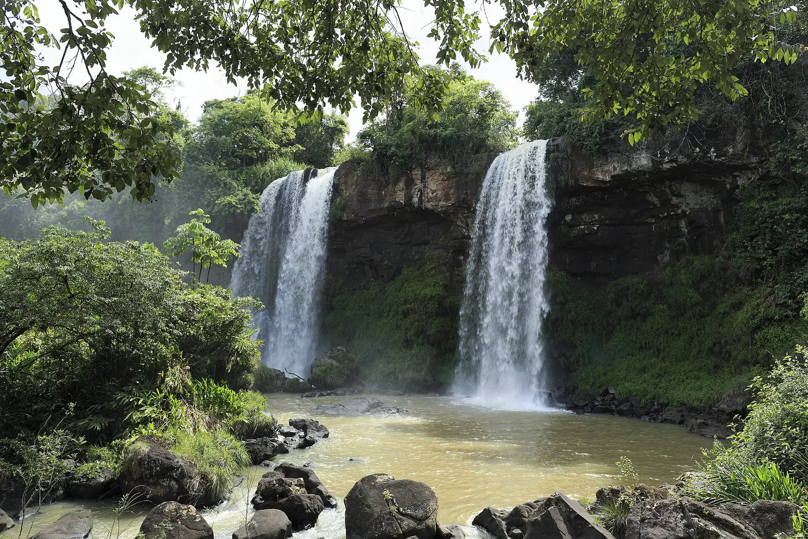 The twin falls of Salto Dos Hermanas in Iguazú National Park plunge over a rock wall into a brownish pool, surrounded by dense rainforest