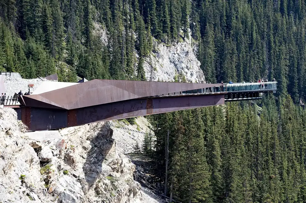 Glacier Skywalk in Jasper National Park: glass-floored viewing platform juts out over the Sunwapta River gorge, surrounded by conifer forest