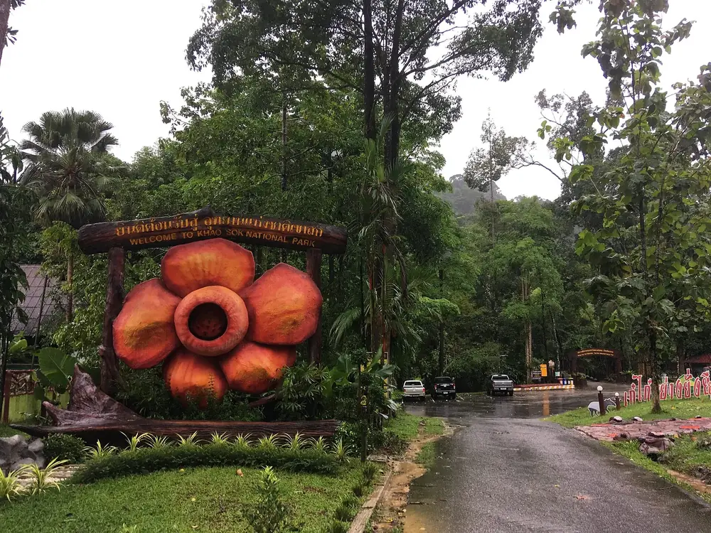 Khao Sok National Park entrance: a large Rafflesia flower sculpture next to the park sign, rainforest and the access road behind