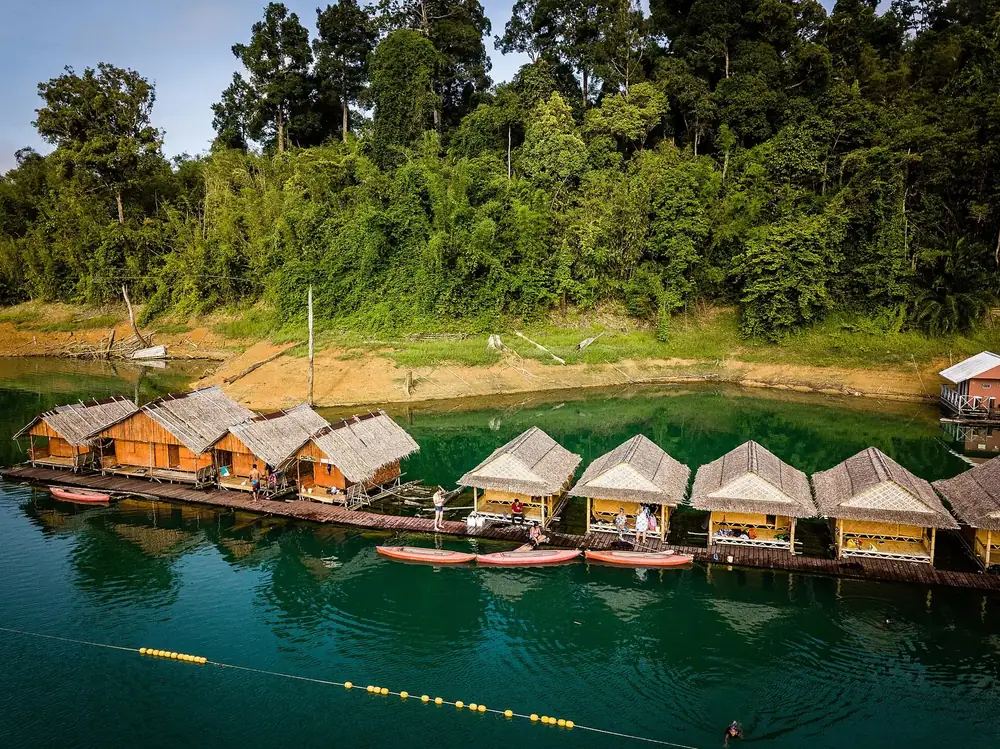 Kri Sorn ranger station: floating bamboo huts on green Cheow Lan Lake in front of dense rainforest on the shore