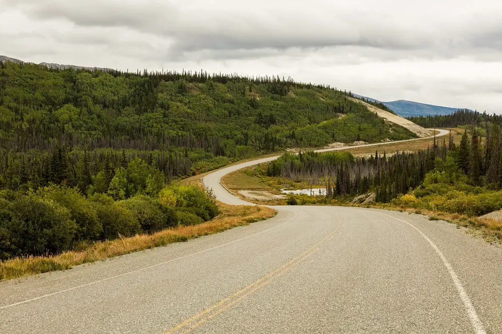 Road near Haines Junction winding through hilly conifer forest with autumn-yellow shrubs