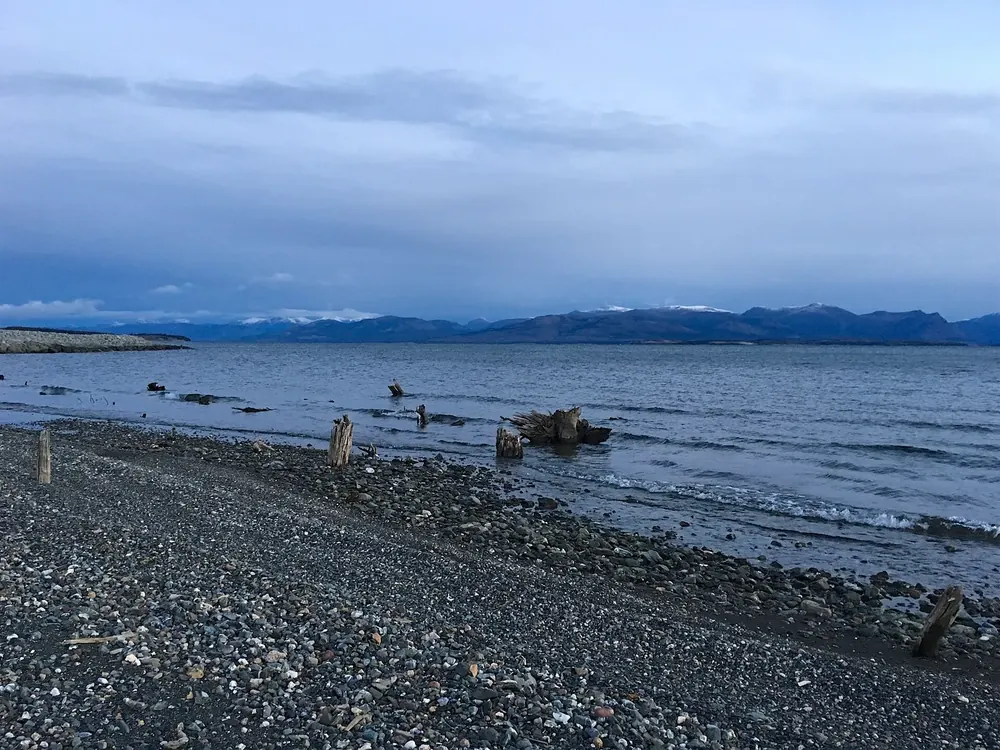 Kluane Lake: stony shore with driftwood, behind it the wide expanse of water and mountain ranges under clouds