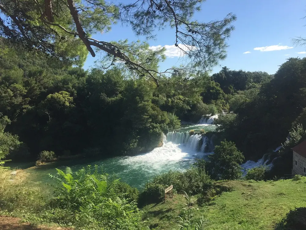 Krka cascades below Lozovac: white, foaming waterfalls between lush greenery and pines