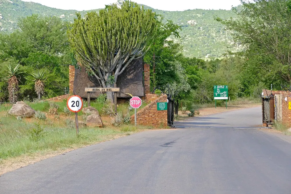 Gate of Berg-en-Dal rest camp in Kruger National Park: a walled entrance with a large candelabra euphorbia tree, wooded hills behind
