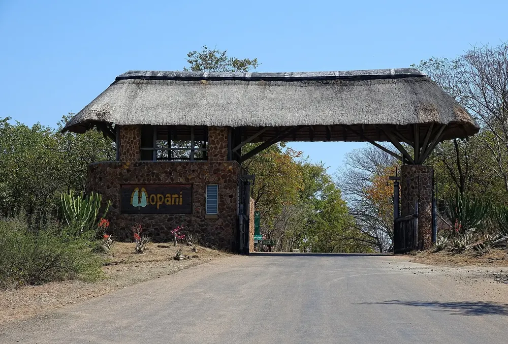 Entrance gate of Mopani rest camp in Kruger National Park: thatched stone gatehouse with the mopane leaf logo above the access road