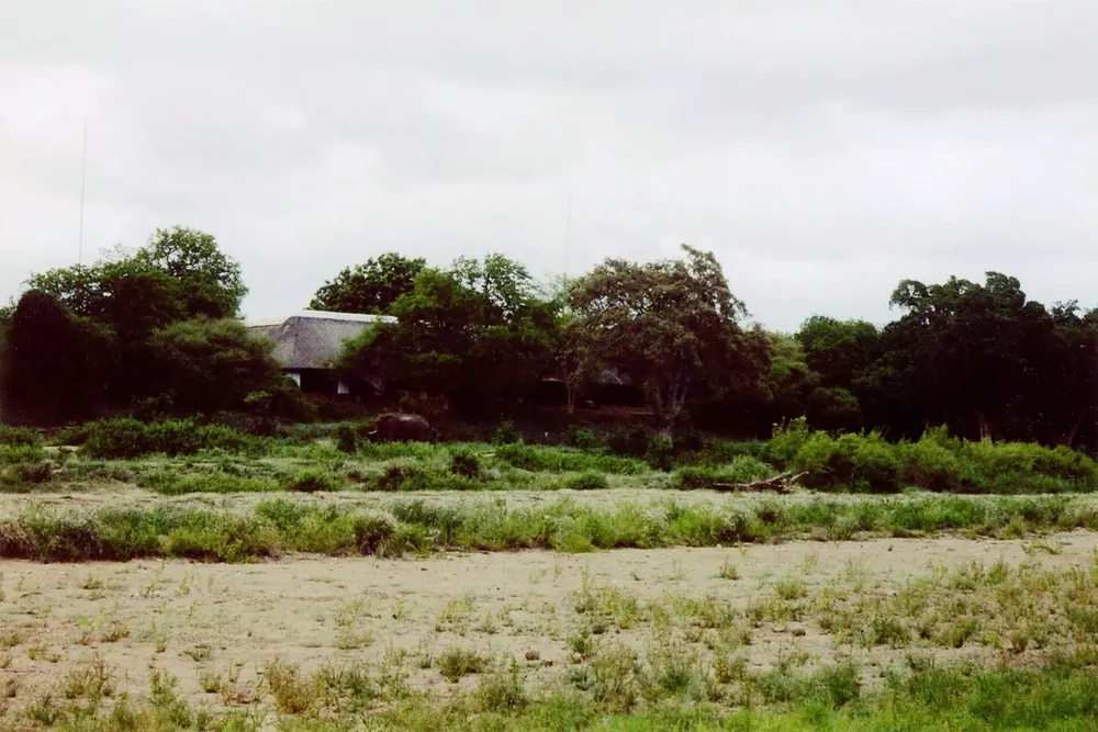 Shingwedzi rest camp in Kruger National Park hidden among trees, with the sandy, grassy bed of the Shingwedzi River in front