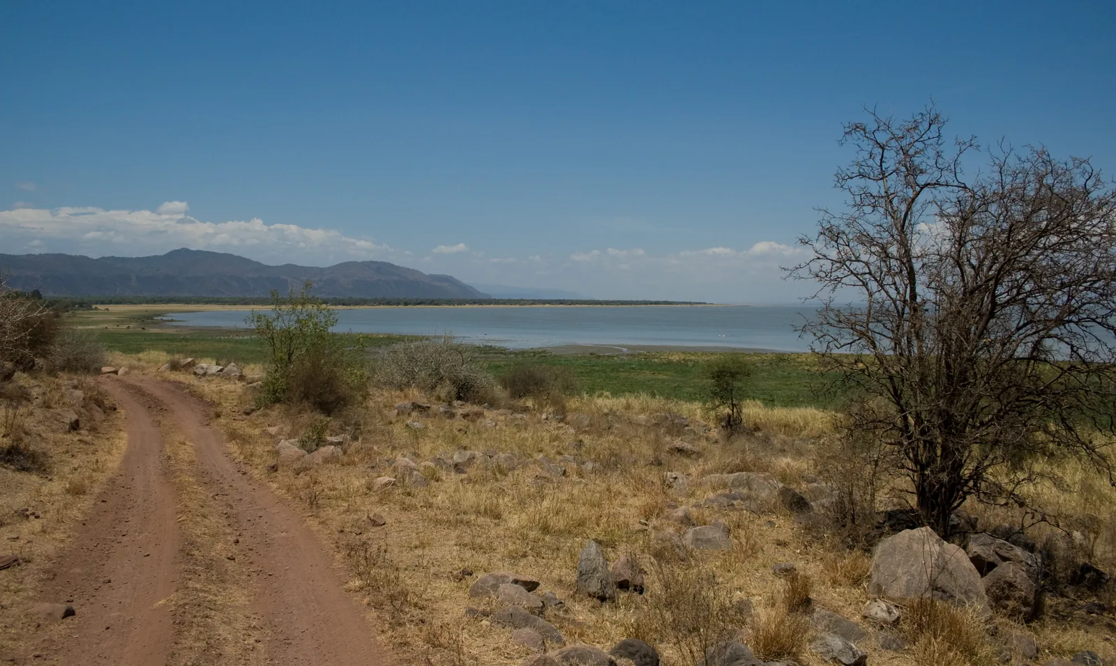 A sandy track leads through dry bushland to Lake Manyara in Lake Manyara National Park, mountains on the horizon