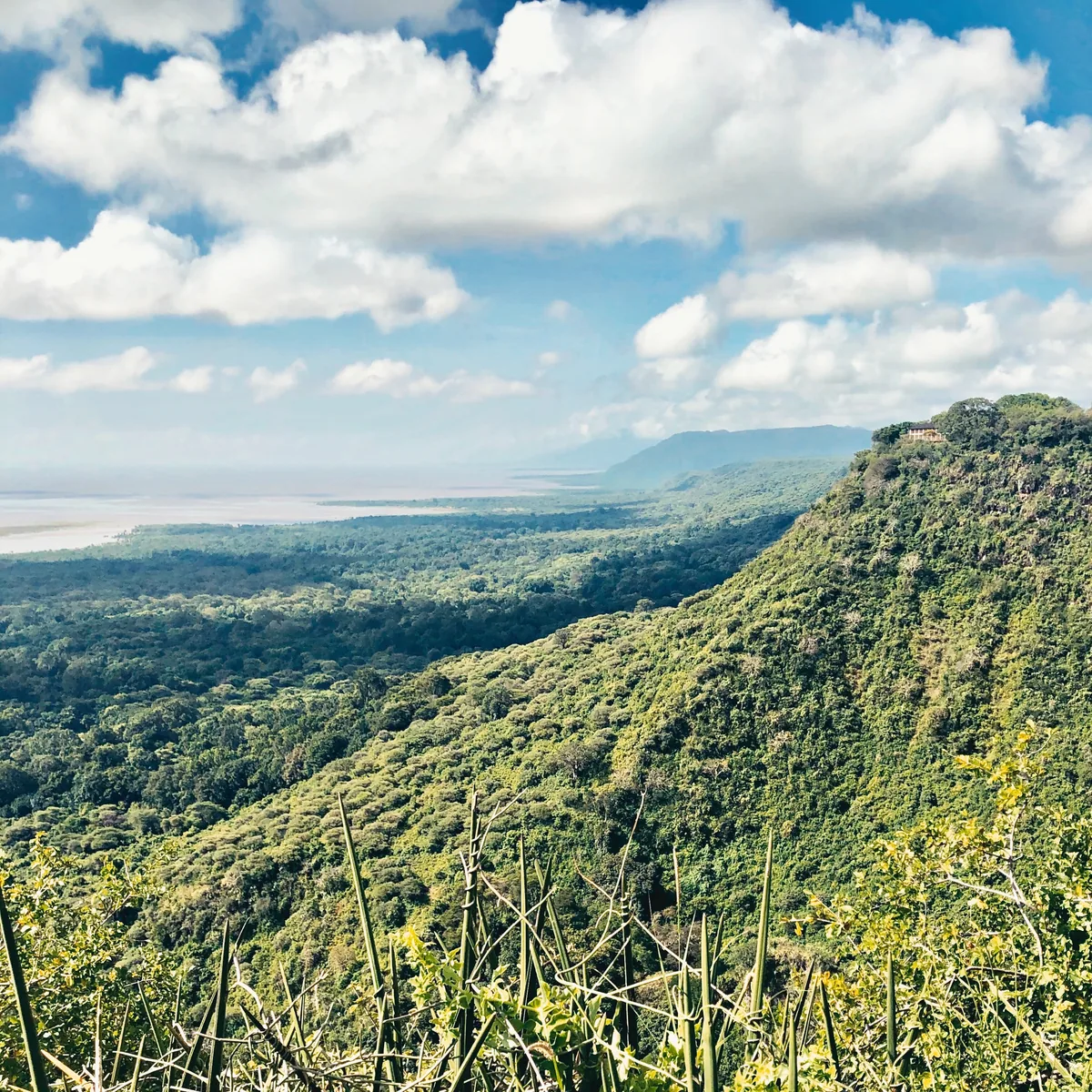 View from the viewpoint on the B144 over a forested spur of the Rift Valley wall down to the forest and lake of Lake Manyara National Park