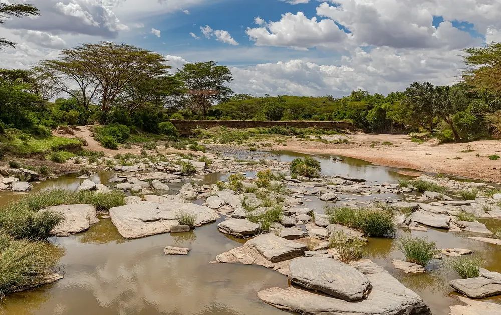Talek River: shallow riverbed with rock slabs and pools of water, lined with acacias under cumulus clouds