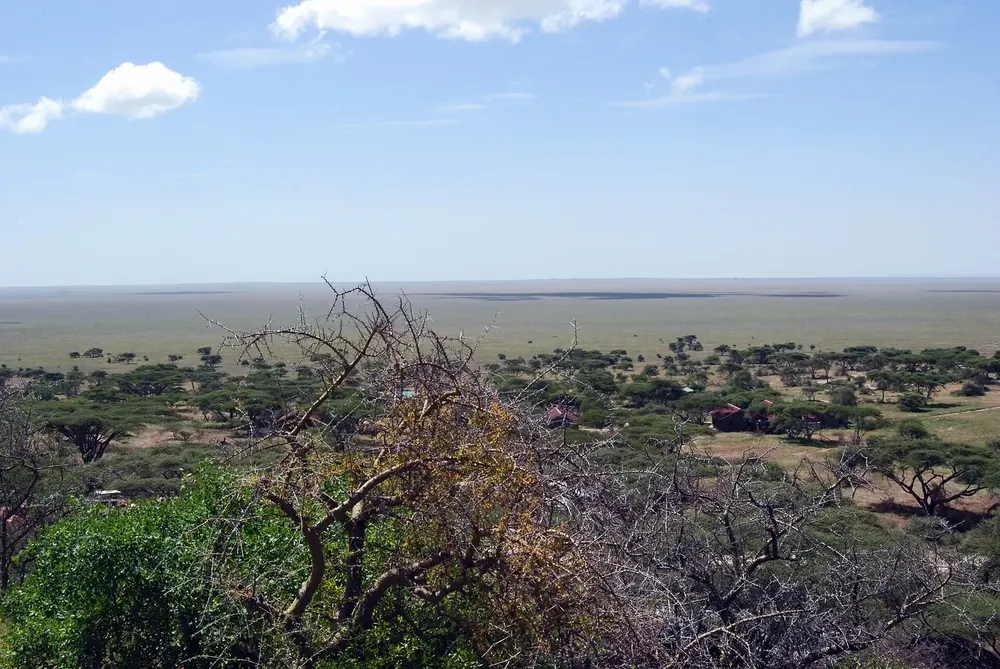 View from Naabi Hill over acacia bushland to the endless flat plain of the eastern Serengeti