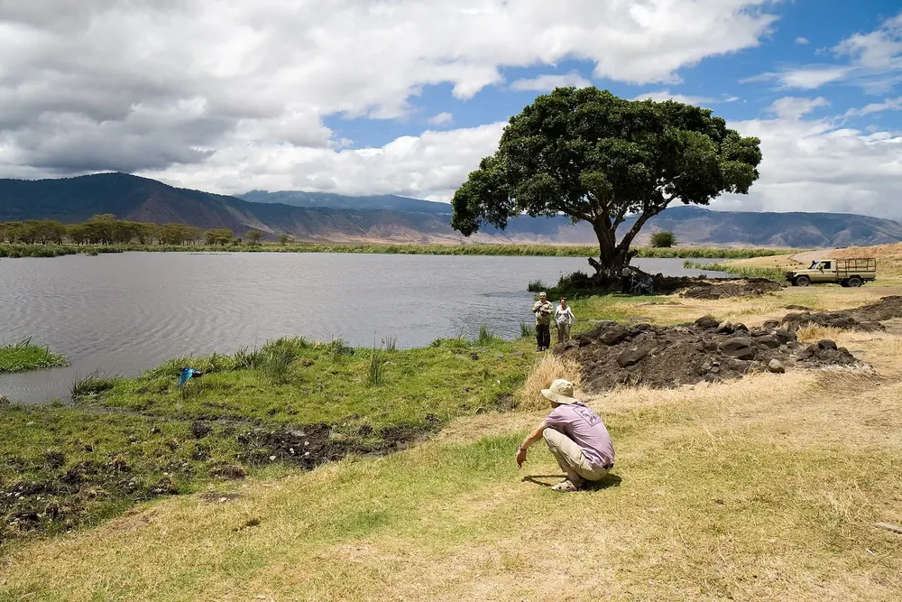 Ngoitokitok Springs in the Ngorongoro Crater: a spring-fed lake with a large umbrella acacia on the shore, the crater rim behind