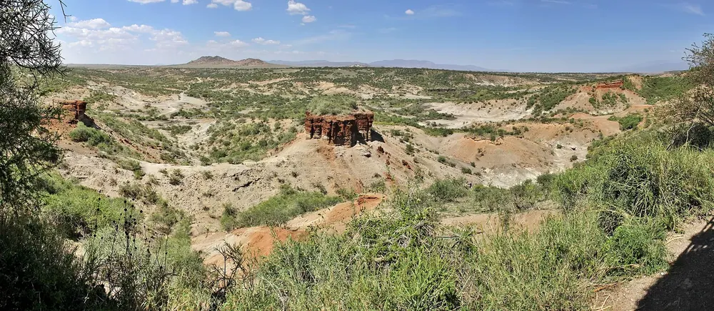 Olduvai Gorge: a branching erosion gorge with red rock layers and scrub stretching to the horizon