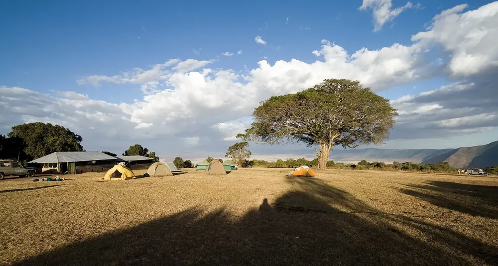 Simba Campsite on the rim of the Ngorongoro Crater: tents on a dry meadow under a large umbrella acacia, the crater rim behind