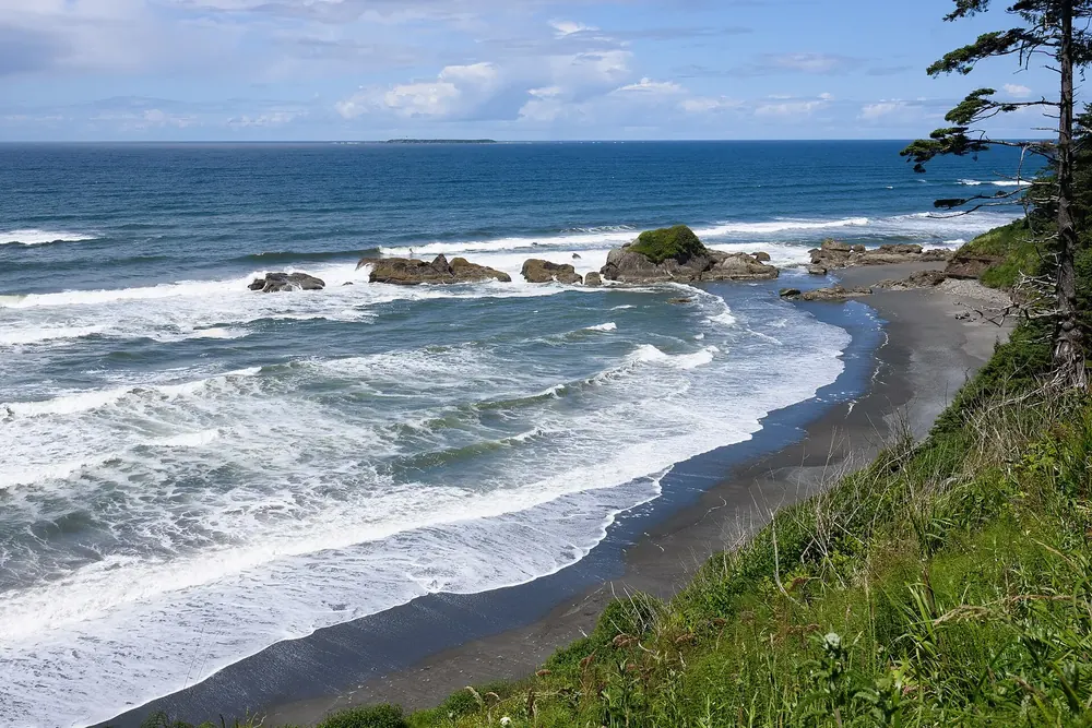 Beach 4 near Kalaloch in Olympic National Park: surf on a dark sandy beach with rocks, a green bank with spruce above