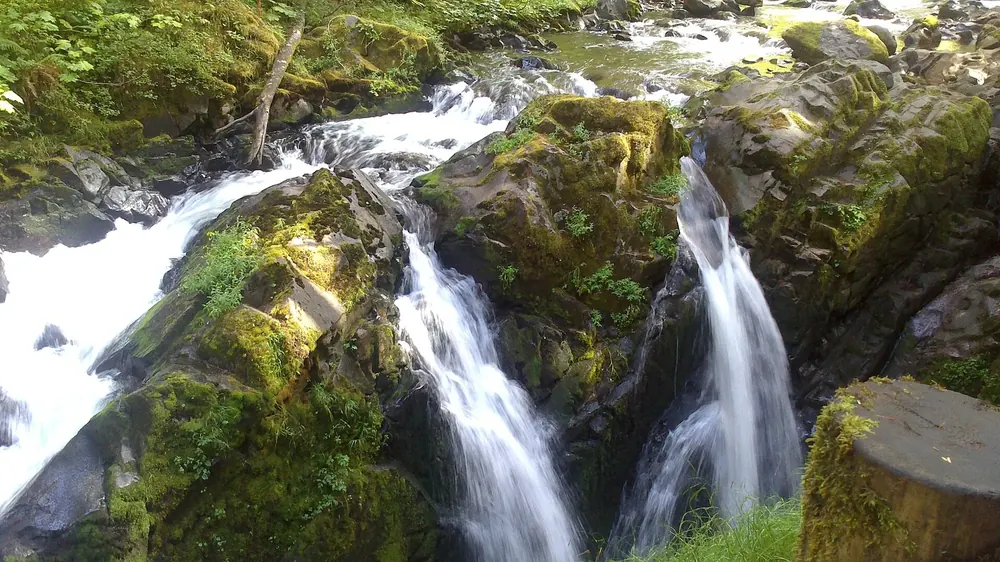 Sol Duc Falls in Olympic National Park: the river plunges in several streams into a narrow, mossy rock gorge in the rain forest