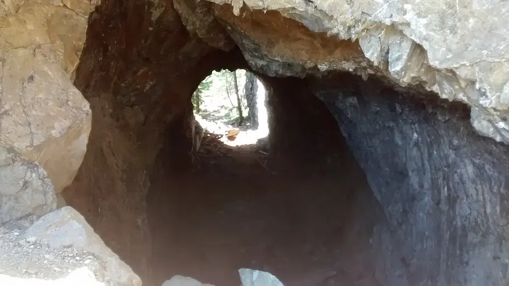 Looking through the Daley-Rankin Tunnel on the Spruce Railroad Trail in Olympic National Park: a short rock tunnel with a bright exit