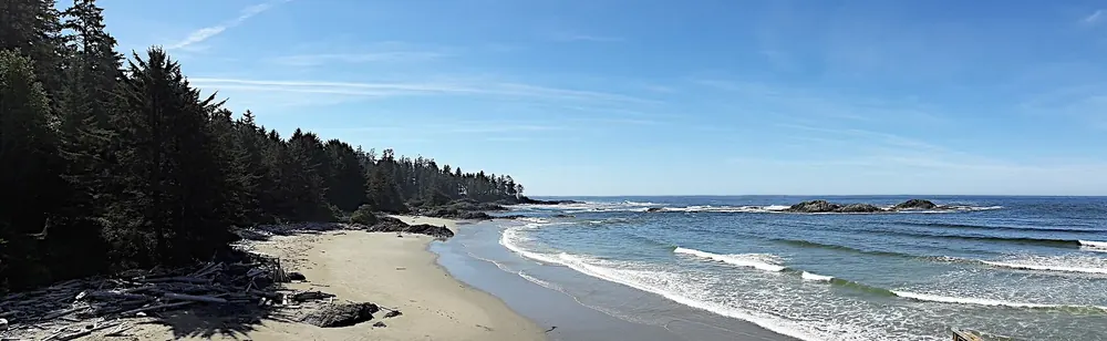 View from the Kwisitis Visitor Centre of a sandy beach with surf, lined by dark coastal forest