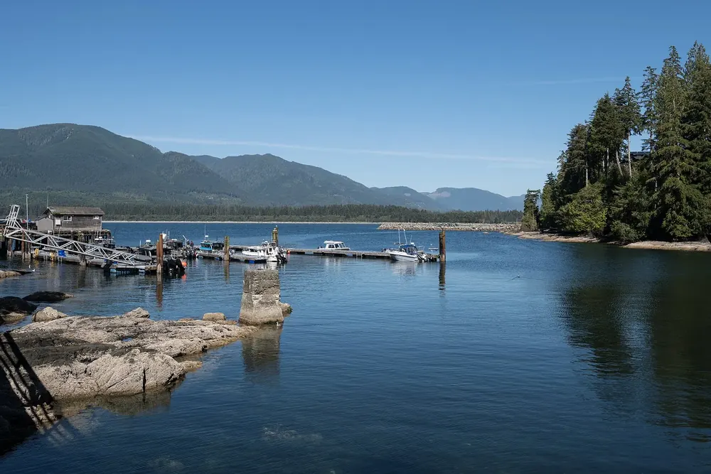 Government Dock in Port Renfrew: boat landing and docks in a calm bay in front of forested mountains