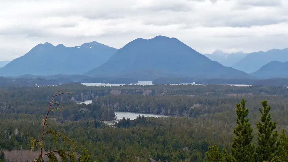 View from Radar Hill in Pacific Rim National Park Reserve over rainforest, bays and lakes to the forested mountains of the Clayoquot region
