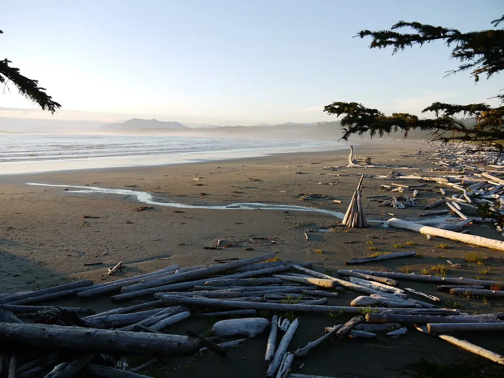 Wickaninnish Beach in Pacific Rim National Park Reserve: wide sandy beach with drift logs and a creek, surf and mountain silhouettes behind