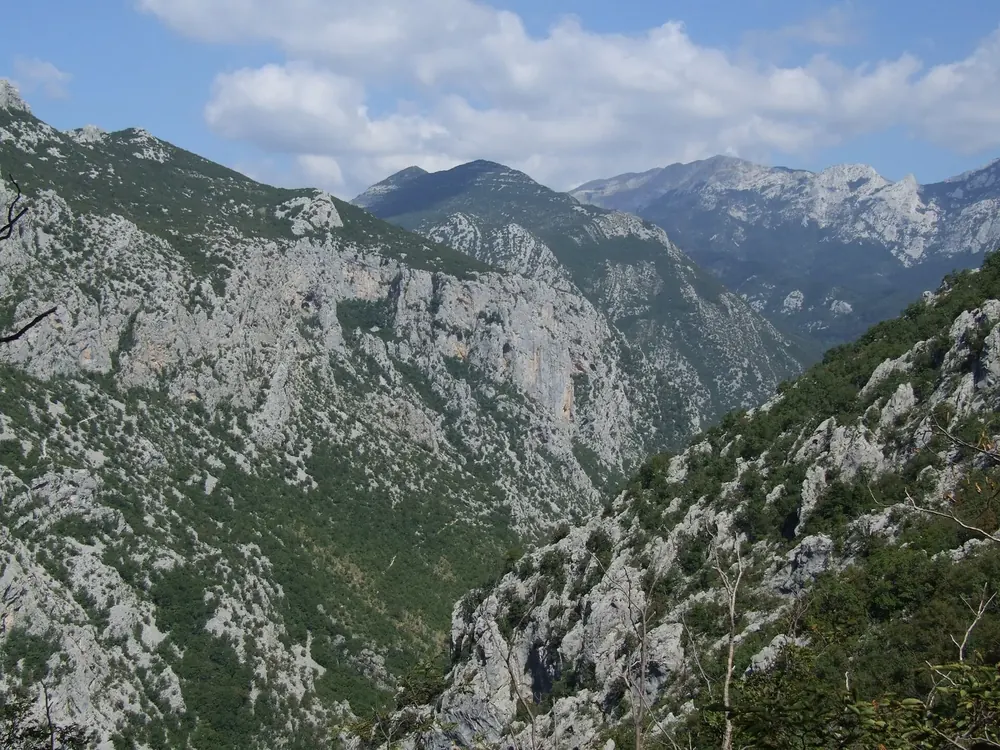 The Velika Paklenica canyon in Paklenica National Park: steep grey limestone walls and wooded slopes under cumulus clouds.