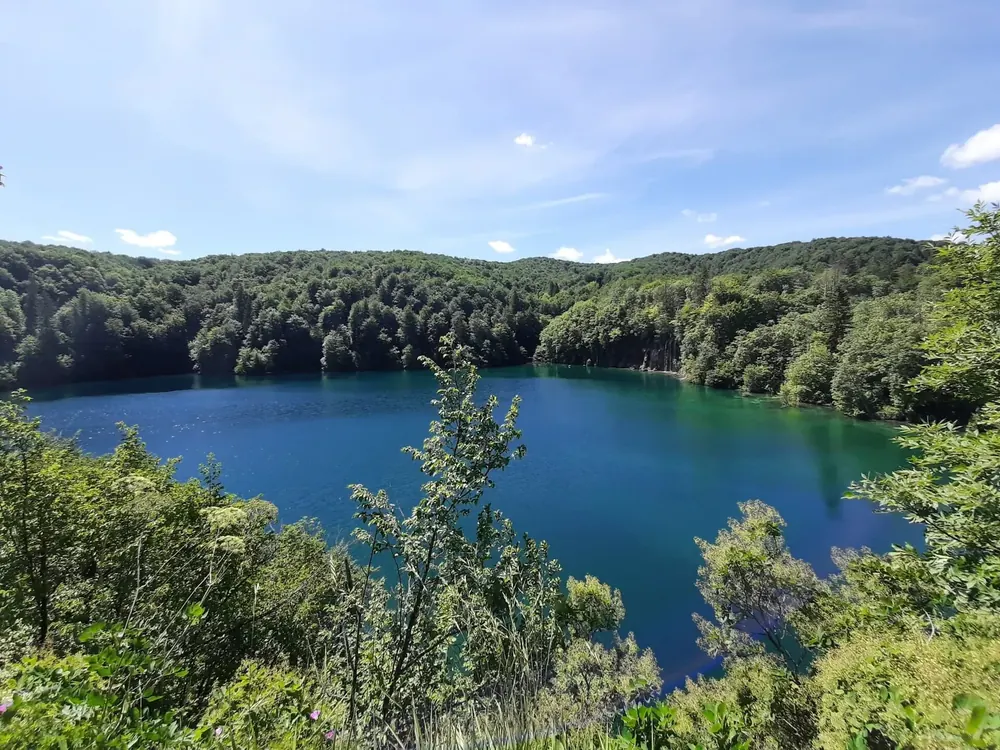 Plitvice Lakes National Park near Entrance 2: a deep blue lake between densely wooded slopes, with young leaves in front