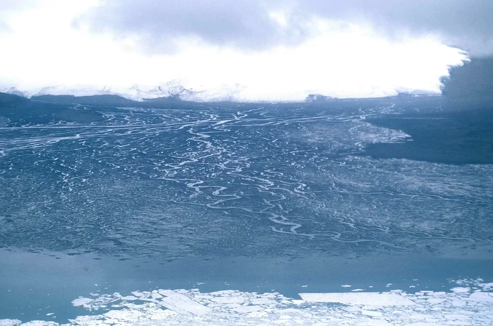 North-west shore of Lake Hazen in Quttinirpaaq National Park: braided delta of the Henrietta River below the Henrietta Nesmith Glacier