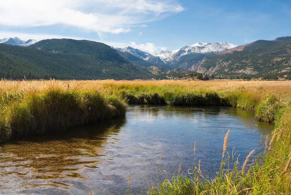 Moraine Park in Rocky Mountain National Park: a stream with golden grass on its banks in the wide valley meadow, forested slopes and snowy peaks behind