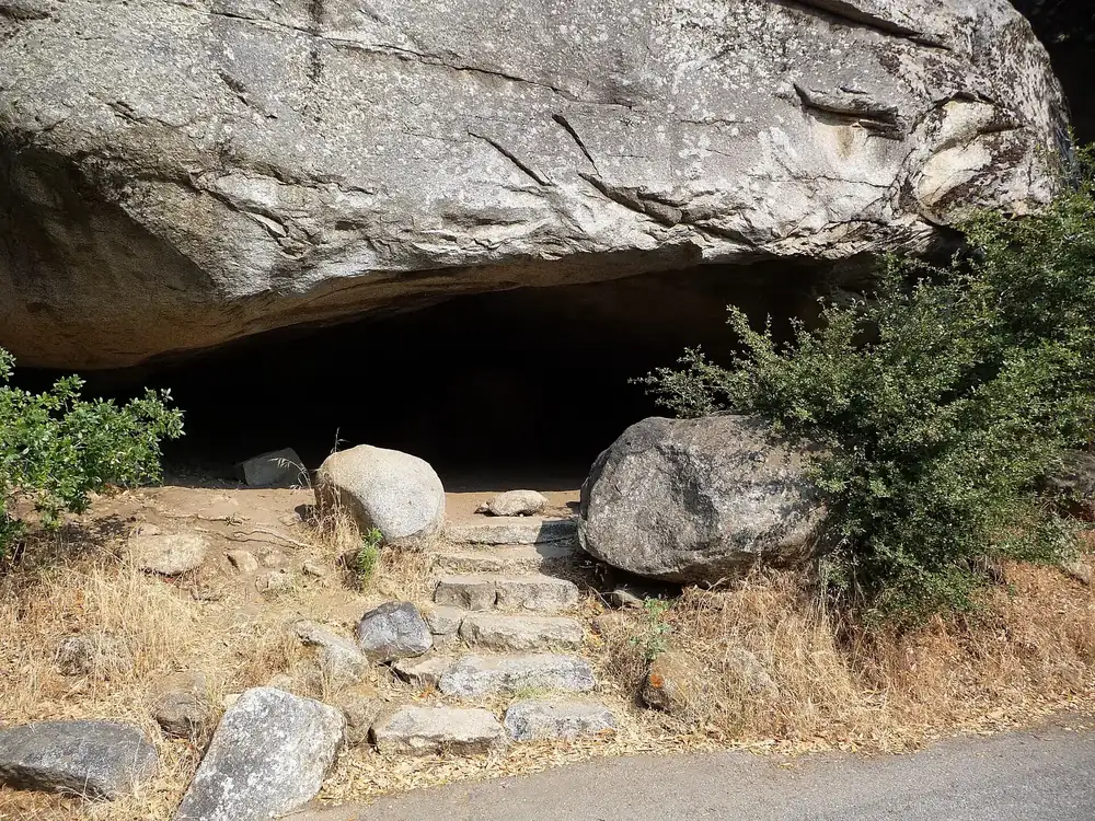 Hospital Rock in Sequoia National Park: overhanging granite rock with a hollow, stone steps, boulders and shrubs in front
