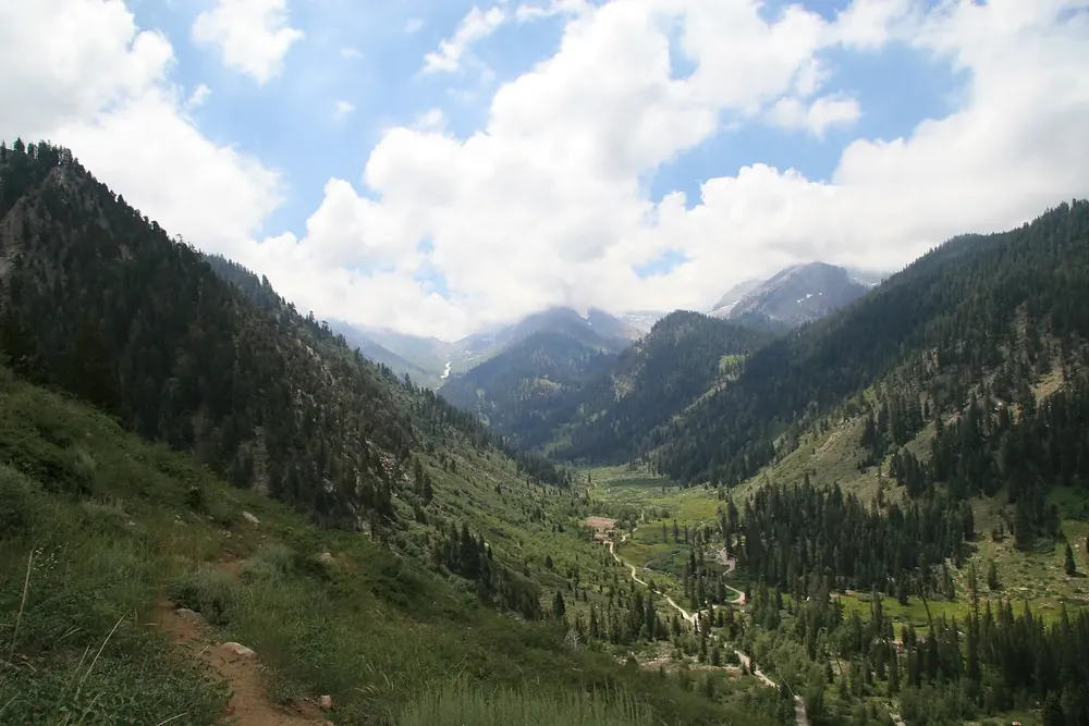 View from the Timber Gap Trail down into the green Mineral King Valley in Sequoia National Park between steep, wooded mountainsides