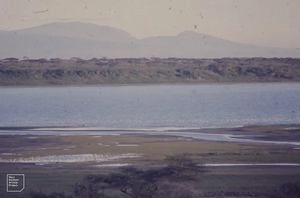 Lake Ndutu: shallow lake with a muddy shore and pale flocks of flamingos, bushland and hills behind