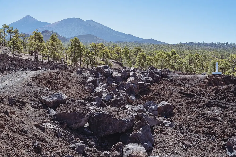 View from the Mirador de Chío in Teide National Park over lava rocks and pine forest to Teide and Pico Viejo