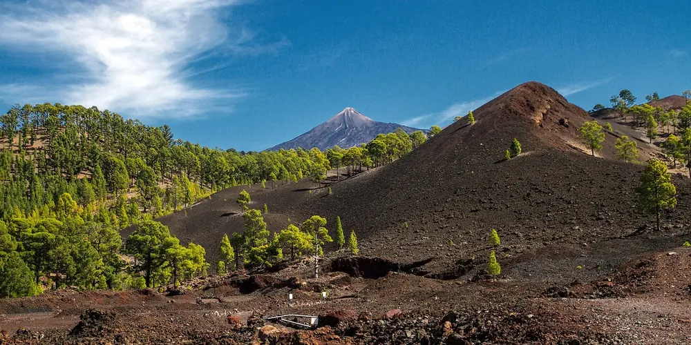 Montaña Sámara in Teide National Park: dark volcanic cone of lava cinder with Canary Island pines, Pico del Teide behind
