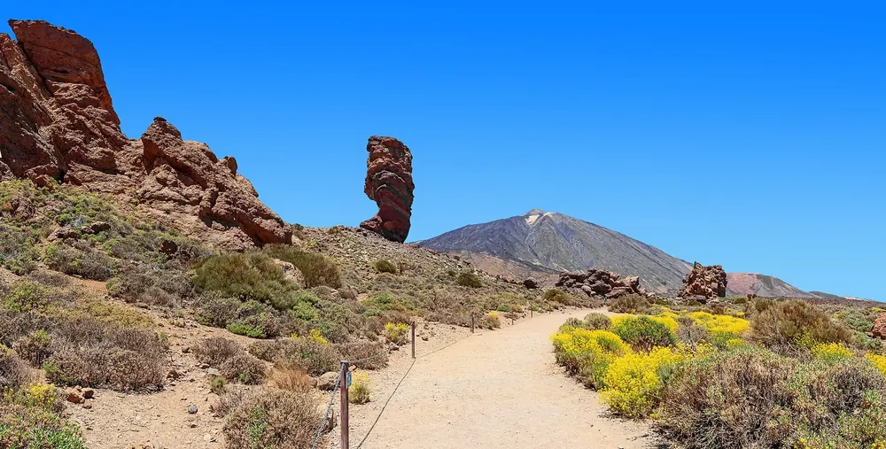 Roques de García in Teide National Park with Roque Cinchado, Teide behind, a hiking trail and yellow-flowering broom in front