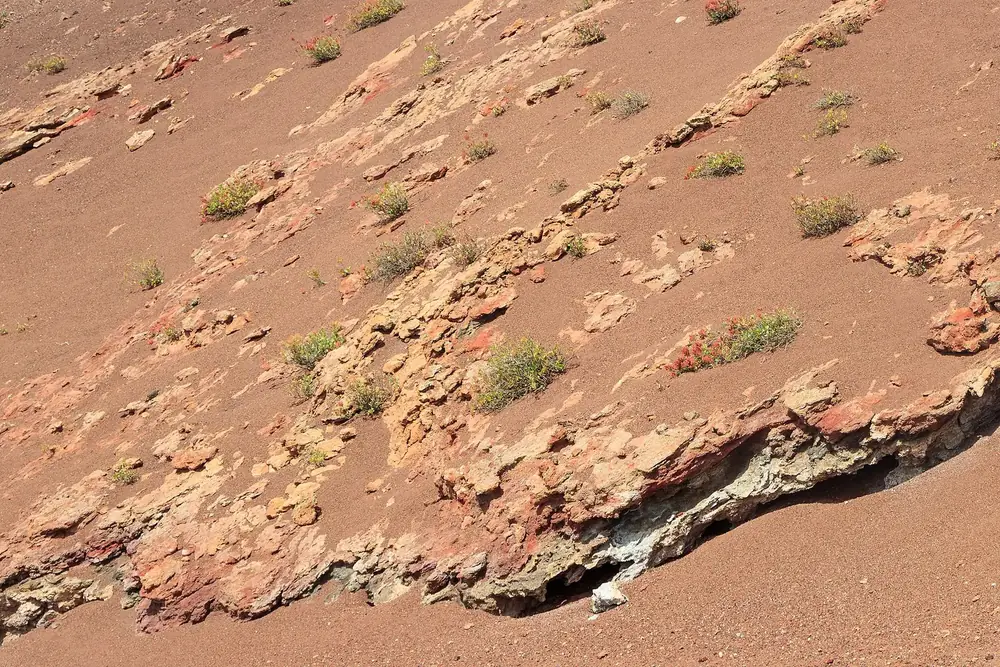 South slope of Montaña de Timanfaya in Timanfaya National Park: reddish lava layers with pale hydrothermal deposits and scattered plants