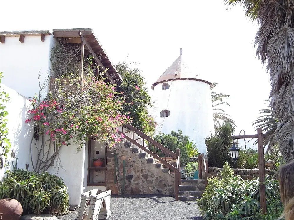 Museum in Tinajo: white building with a wooden staircase, bougainvillea and an old windmill among palm trees