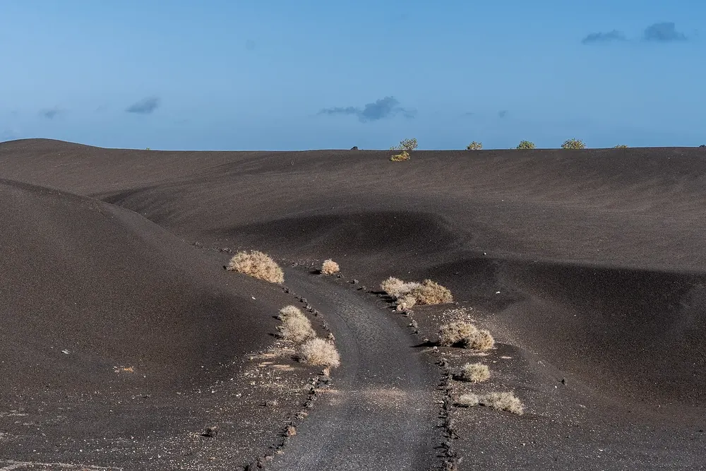 Tremesana trail: a narrow path through black lapilli fields with scattered shrubs in Timanfaya National Park