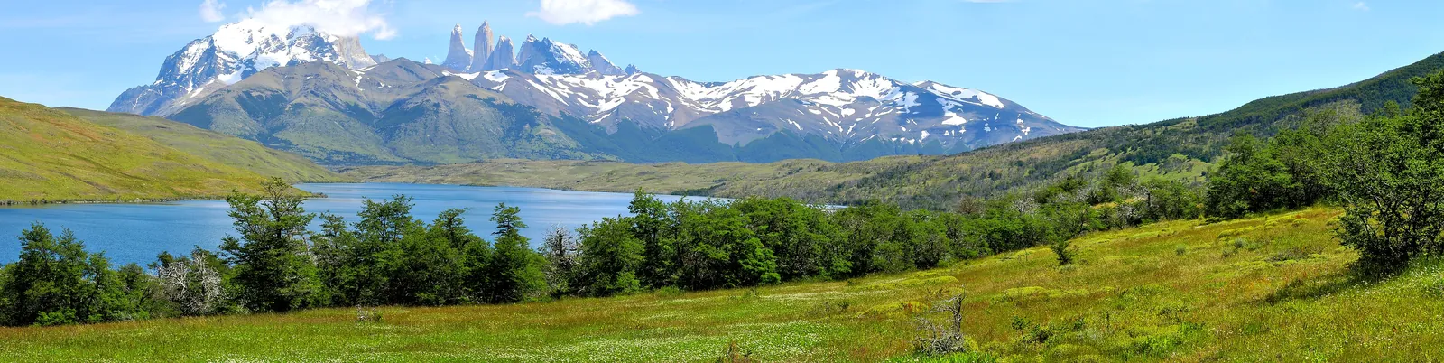 Panorama over Laguna Azul in Torres del Paine National Park to the snowy Paine massif, meadow and lenga forest in front