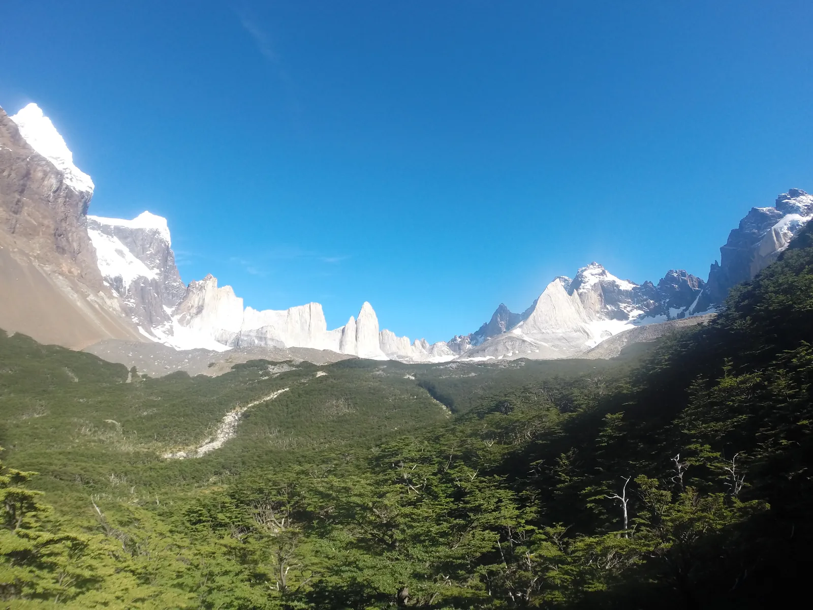 View from the Mirador Británico in Torres del Paine National Park across the rock amphitheatre of the French Valley, lenga forest below