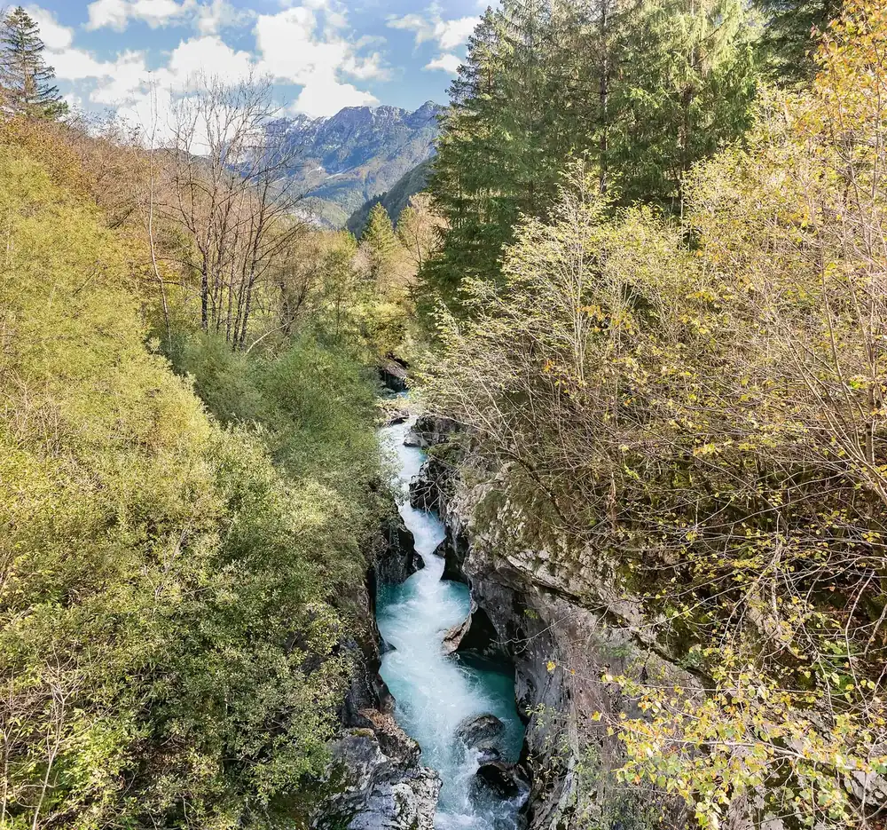 Great Soča Gorge in Triglav National Park: the turquoise-blue Soča shoots through a narrow, deep rock gorge between autumn trees