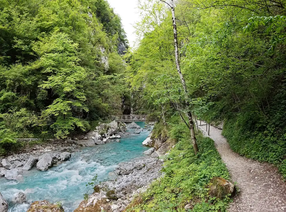 Tolmin Gorges in Triglav National Park: a turquoise mountain stream between boulders, beside it a footpath through dense green forest