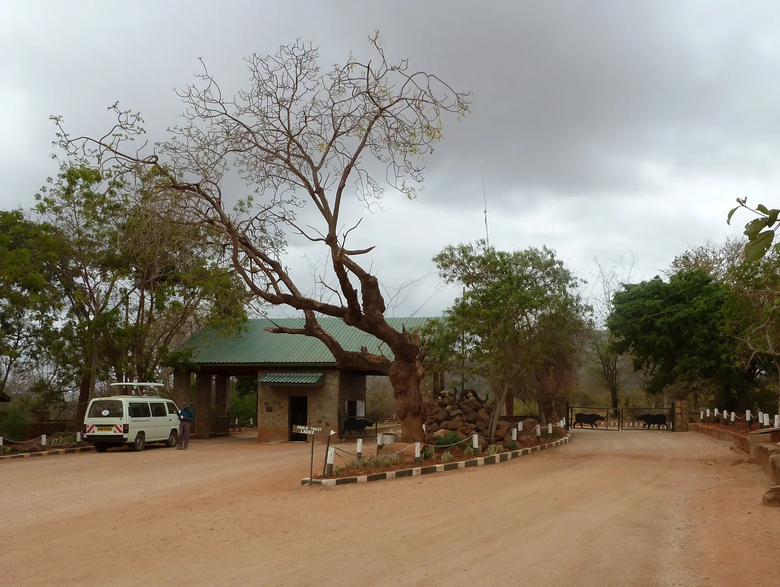 The approach to Voi Gate of Tsavo East with a green-roofed gatehouse, a white minibus and a barrier under a large tree